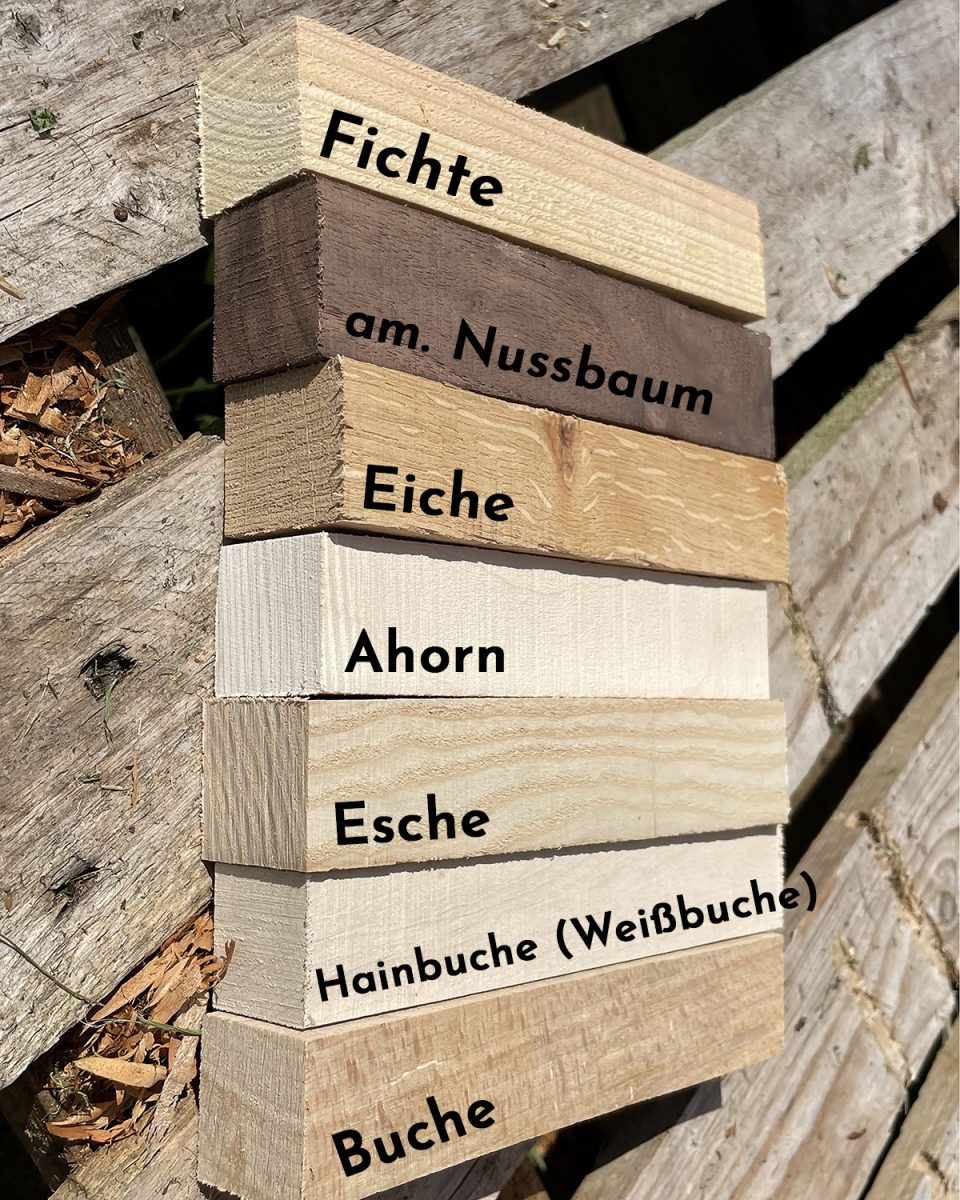 Stirnseiten von Fichte, am. Nussbaum, Eiche, Ahorn, Esche, Hainbuche und Buche.